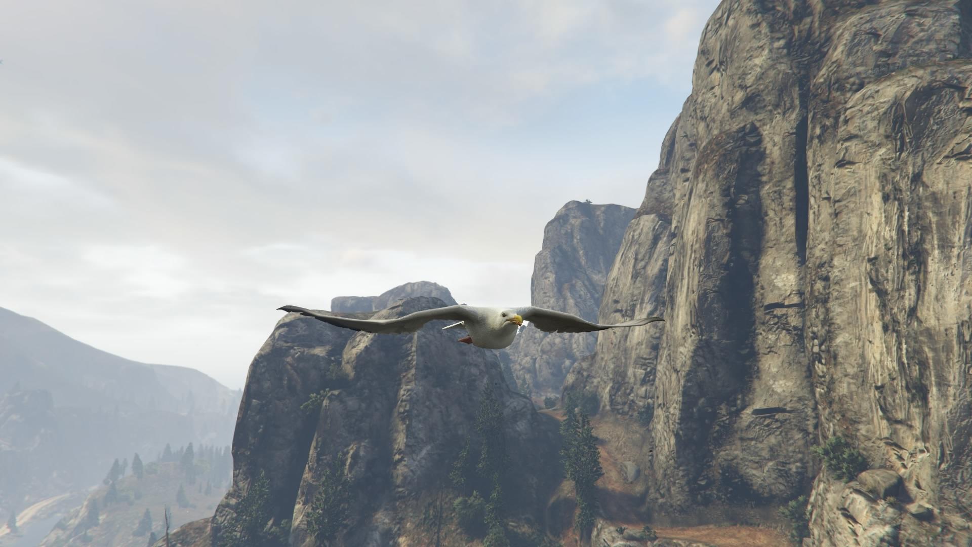 Gta 5 all animals you can be фото 87