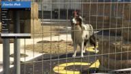 GTA5 Animals Shepherd 2 DirectorMode