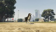 GTA5 Animals Shepherd PeyotePlant