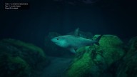 GTA5 Animals TigerShark PeyotePlant