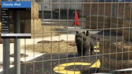 GTA5 Animals Westy 2 DirectorMode