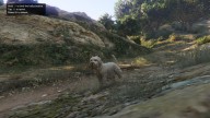 GTA5 Animals Westy PeyotePlant