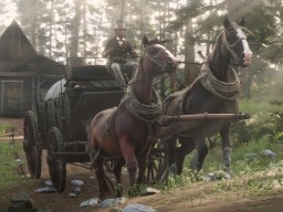 RedDeadOnline Moonshiners 8