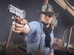 RDR2 PC 29