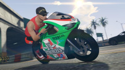 GTA5 Bati801rr Online