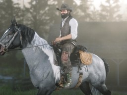 RedDeadOnline Moonshiners 15