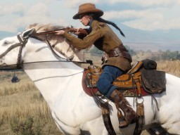 RedDeadOnline Moonshiners 21