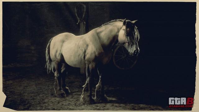 Grullo Dun Breton - RDR2 Horse