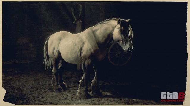 Grullo Dun Breton - RDR2 & Online Horse Stats & Locations Grullo Dun Breton - RDR2 & Online Horse Stats & Locations