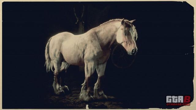 Red Roan Breton - RDR2 Horse