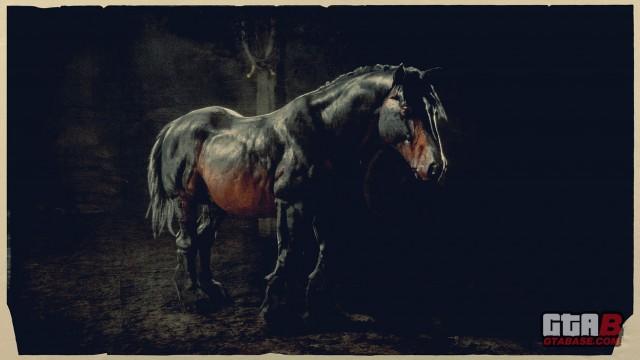 Seal Brown Breton - RDR2 & Online Horse Stats & Locations Seal Brown Breton - RDR2 & Online Horse Stats & Locations