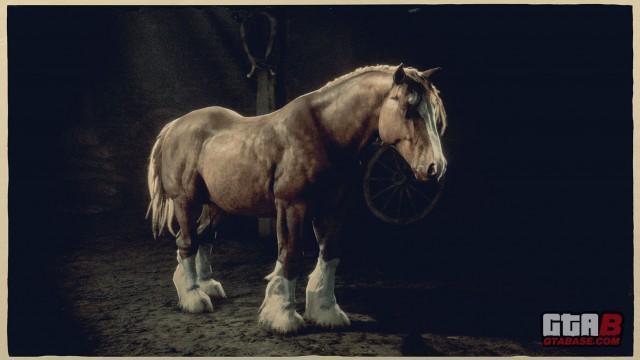 RDR2 Horse - Sorrel Breton