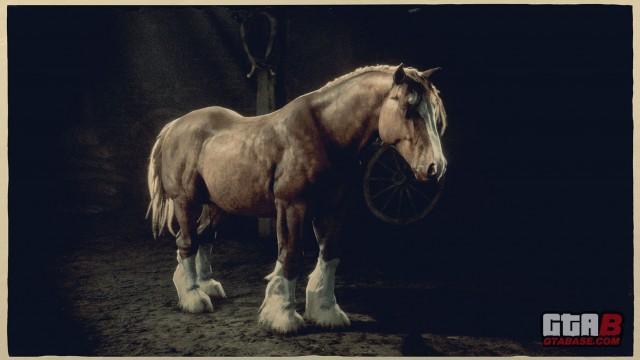 Sorrel Breton - RDR2 & Online Horse Stats & Locations Sorrel Breton - RDR2 & Online Horse Stats & Locations