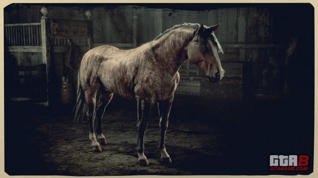 Bay Brindle Criollo - RDR2 Horse