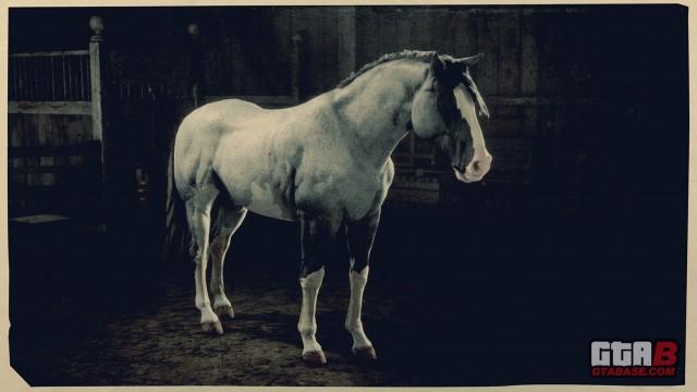 Blue Roan Overo Criollo - RDR2 Horse