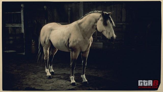 RDR2 Horse - Dun Criollo