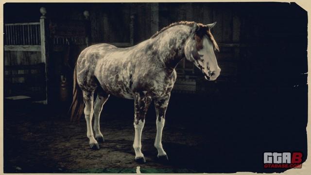 RDR2 Horse - Marble Sabino Criollo