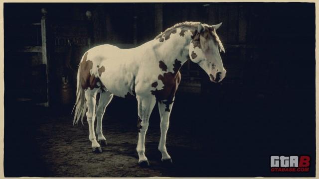 RDR2 Horse - Sorrel Overo Criollo