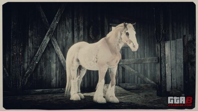 Palomino Blagdon Gypsy Cob - RDR2 & Online Horse Stats & Locations Palomino Blagdon Gypsy Cob - RDR2 & Online Horse Stats & Locations