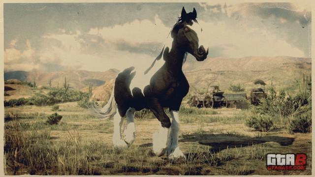 Piebald Gypsy Cob - RDR2 Horse