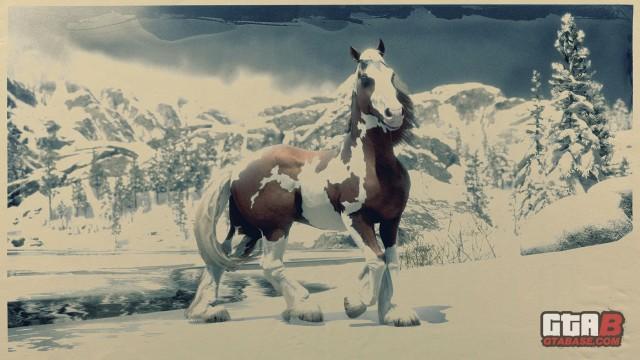 Skewbald Gypsy Cob - RDR2 Horse