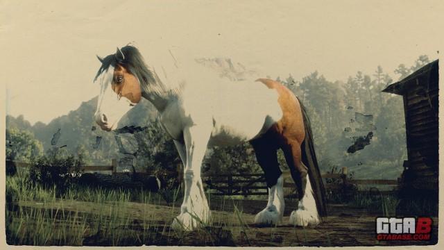 Splashed Bay Gypsy Cob - RDR2 Horse