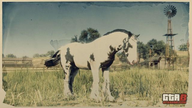 Splashed Piebald Gypsy Cob - RDR2 Horse