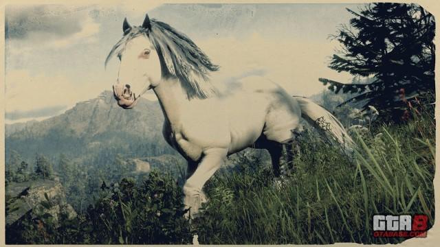 RDR2 Horse - White Blagdon Gypsy Cob