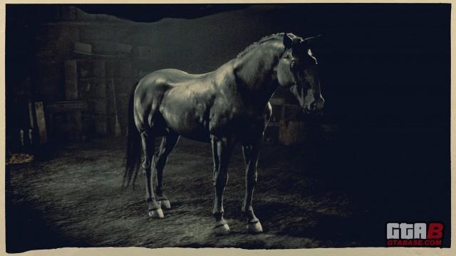 RDR2 Horse - Black Kladruber