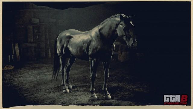 Black Kladruber - RDR2 & Online Horse Stats & Locations Black Kladruber - RDR2 & Online Horse Stats & Locations