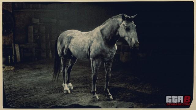 RDR2 Horse - Dapple Rose Grey Kladruber