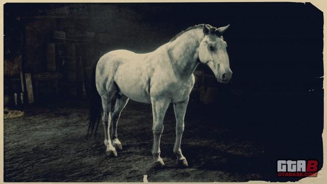 Grey Kladruber - RDR2 Horse