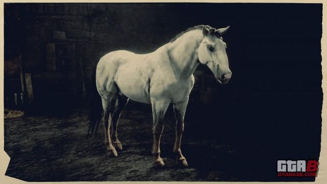 Silver Kladruber - RDR2 Horse