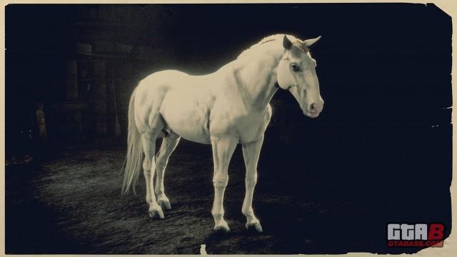 White Kladruber - RDR2 Horse