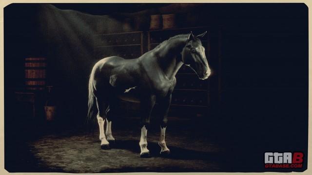 Black Norfolk Roadster - RDR2 Horse