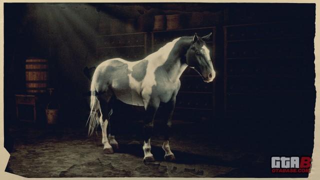 Piebaldo Roan Norfolk Roadster - RDR2 & Online Horse Stats & Locations Piebaldo Roan Norfolk Roadster - RDR2 & Online Horse Stats & Locations