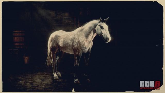 Rose Grey Norfolk Roadster - RDR2 Horse