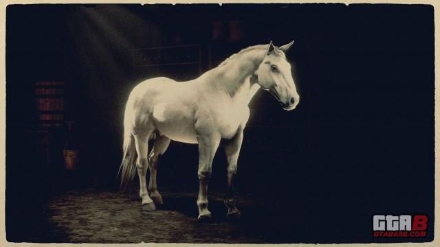 Speckled Grey Norfolk Roadster - RDR2 Horse