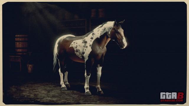 Spotted Tricolor Norfolk Roadster - RDR2 Horse Spotted Tricolor Norfolk Roadster - RDR2 Horse