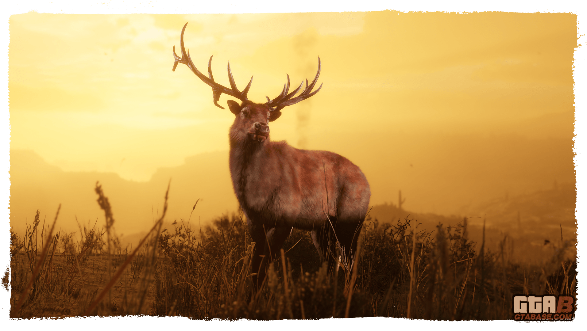 Legendary Elk RDR2 Animals Map Location Where To Find
