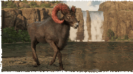 RedDeadOnline NaturalistUpdate Ram