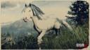 Rd r2 gypsy cob white blagdon gypsy cob 6938 360