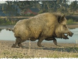 RedDeadOnline NaturalistUpdate Boar