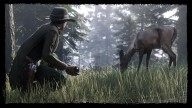 RedDeadOnline NaturalistUpdate Freeroam