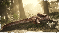 RedDeadOnline NaturalistUpdate Gator
