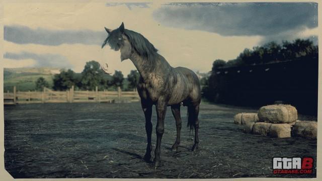 Buckskin Brindle Missouri Fox Trotter - RDR2 & Online Horse Stats & Locations Buckskin Brindle Missouri Fox Trotter - RDR2 & Online Horse Stats & Locations
