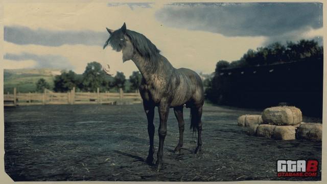 Buckskin Brindle Missouri Fox Trotter - RDR2 Horse