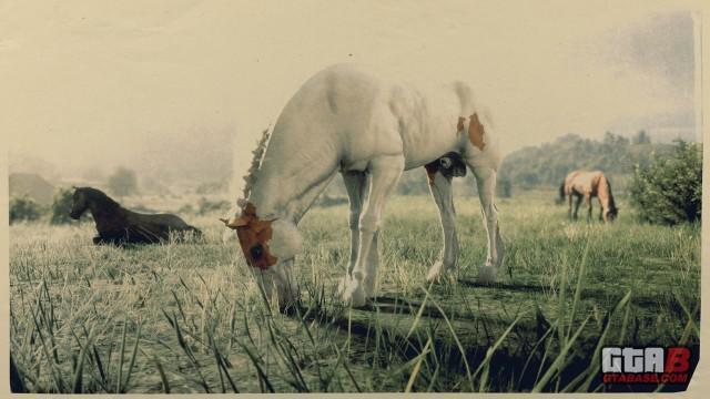 RDR2 Horse - Chestnut Tovero Mustang