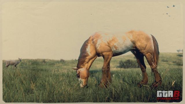 RDR2 Mustang RedDunMustang