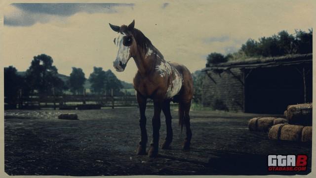 Red Dun Overo Mustang - RDR2 & Online Horse Stats & Locations Red Dun Overo Mustang - RDR2 & Online Horse Stats & Locations